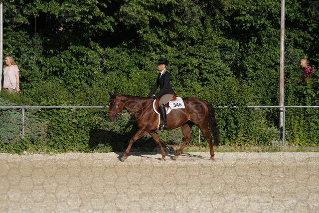 sA9K05985.JPG